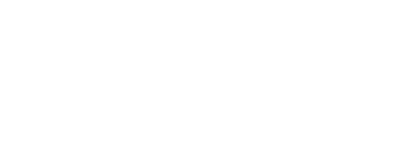 Логотип СЕРЯБКИНА, чертёжный скетч